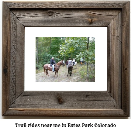 trail rides near me in Estes Park, Colorado